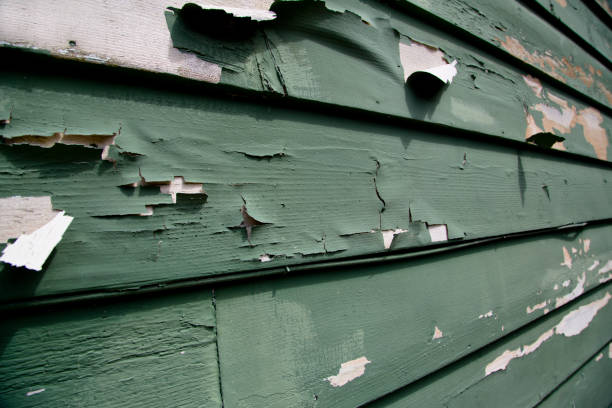 Demolition Debris Removal in Citrus, CA